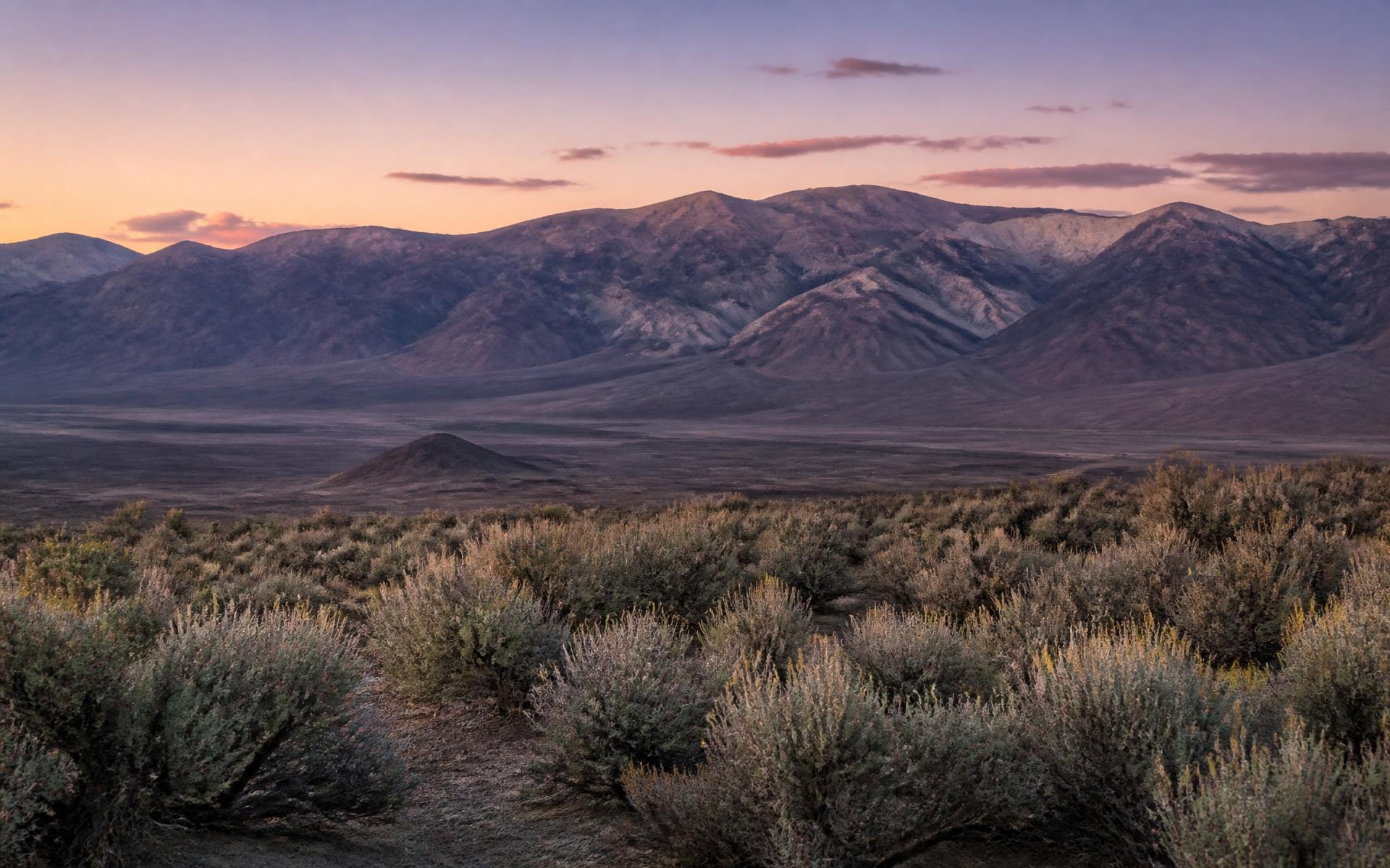 Nevada high desert basin and range landscape at dawn